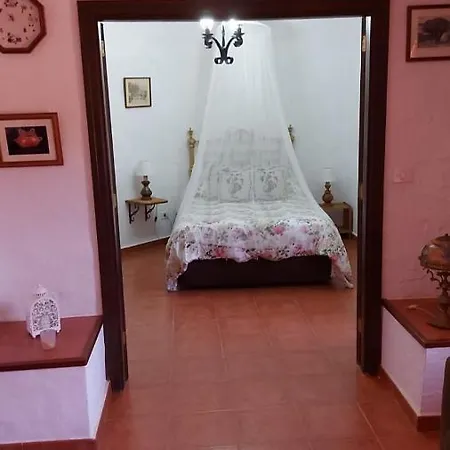 David Villa Las Palmas de Gran Canaria