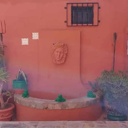 David * Las Palmas de Gran Canaria